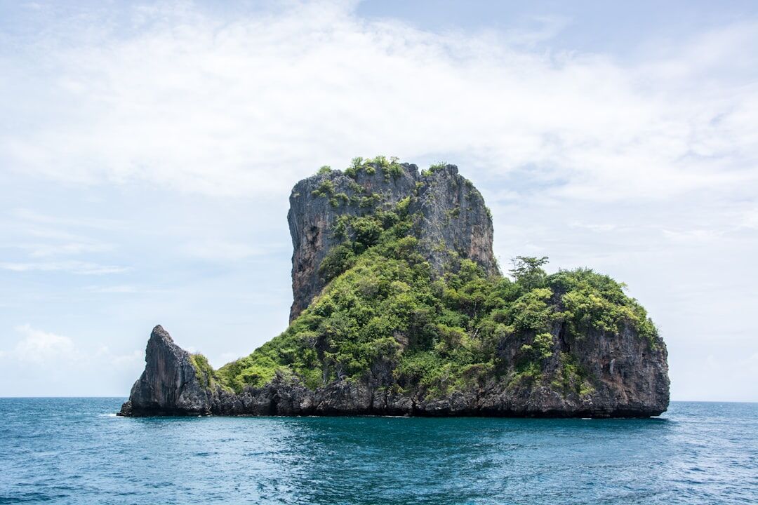 island survival challenge