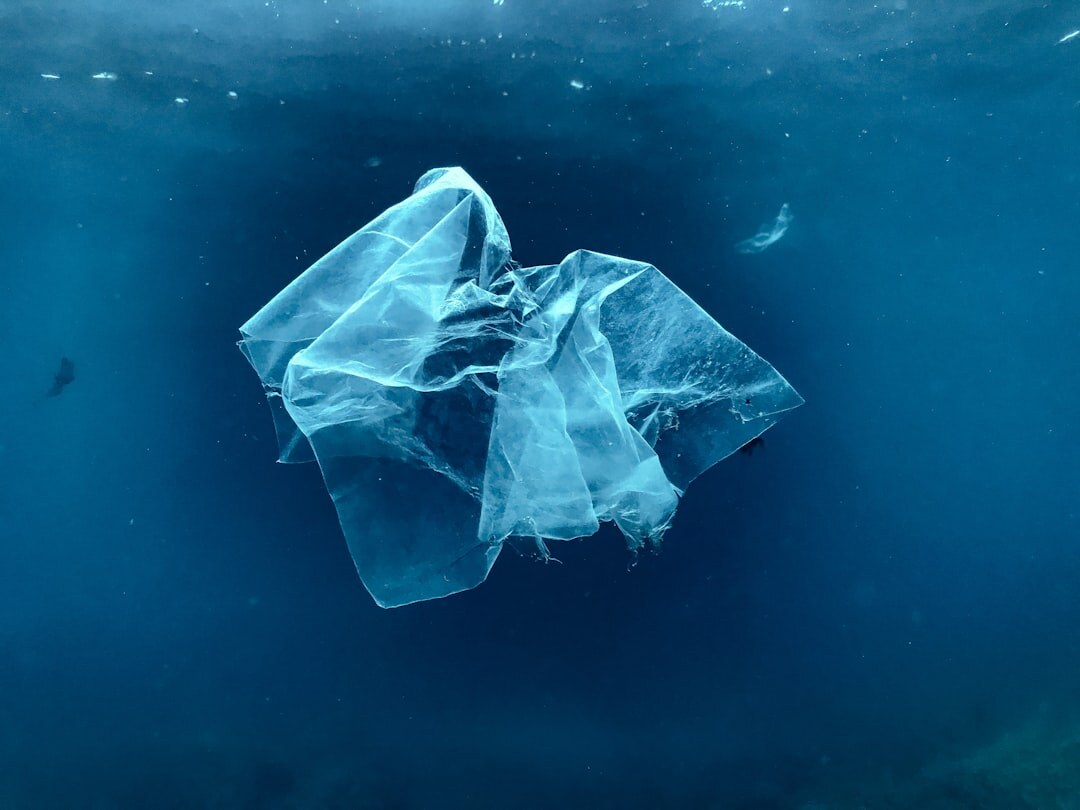 ocean pollution scene
